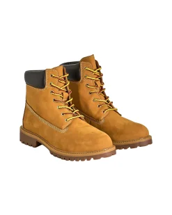 Aron Boot