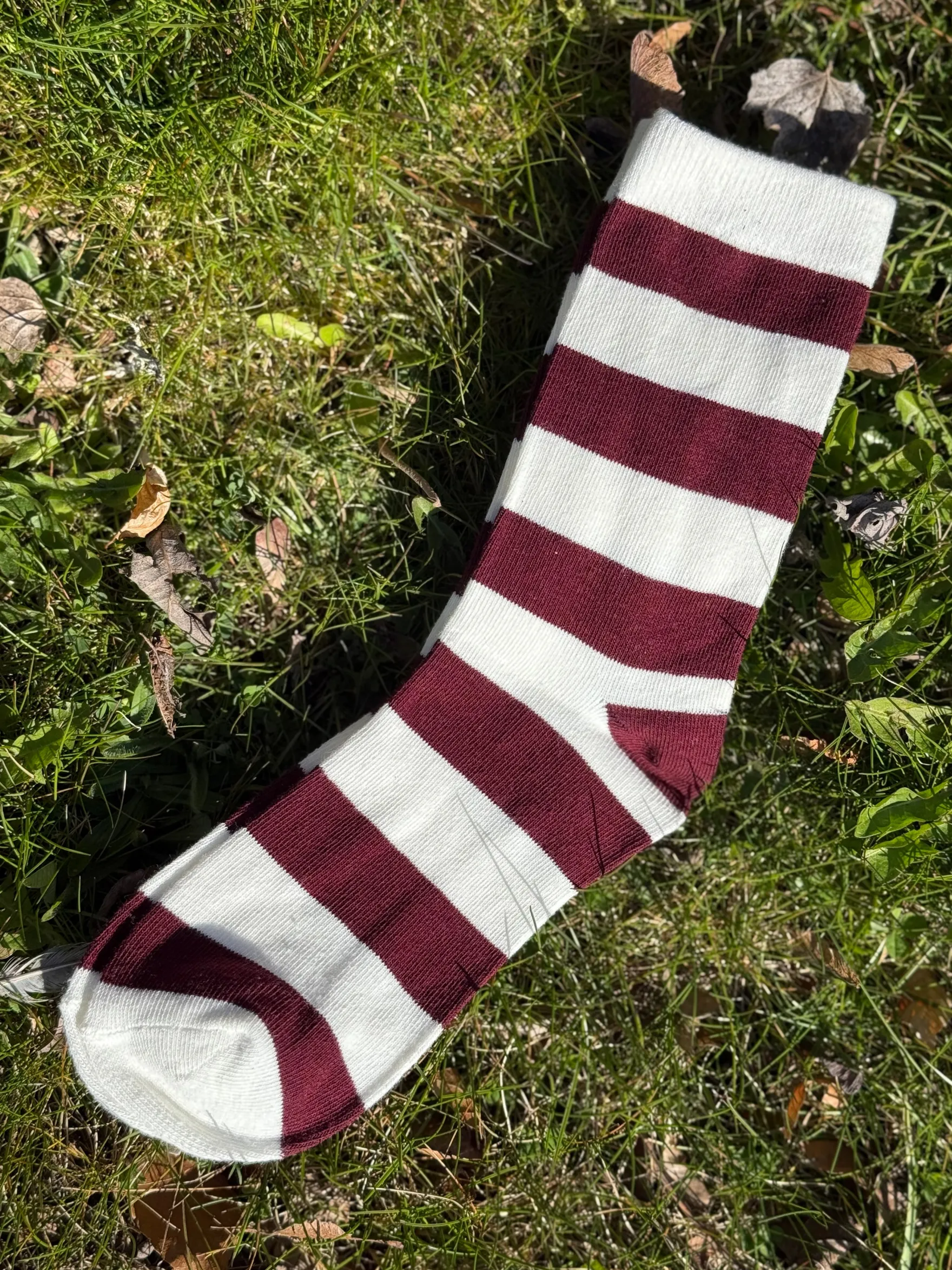 Purpolo stripe sock