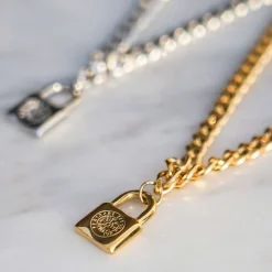 Vegvisir locker necklace