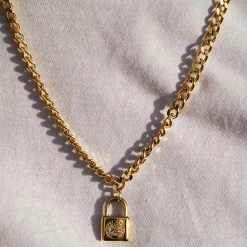 Vegvisir locker necklace