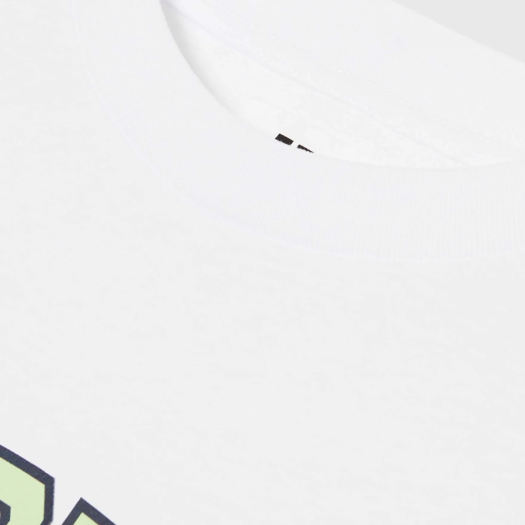 Wwasa bear t-shirt