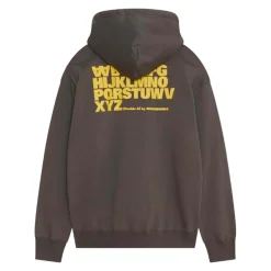 Wwcass letter hoodie